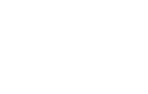 Pumpkin Ball logo on white